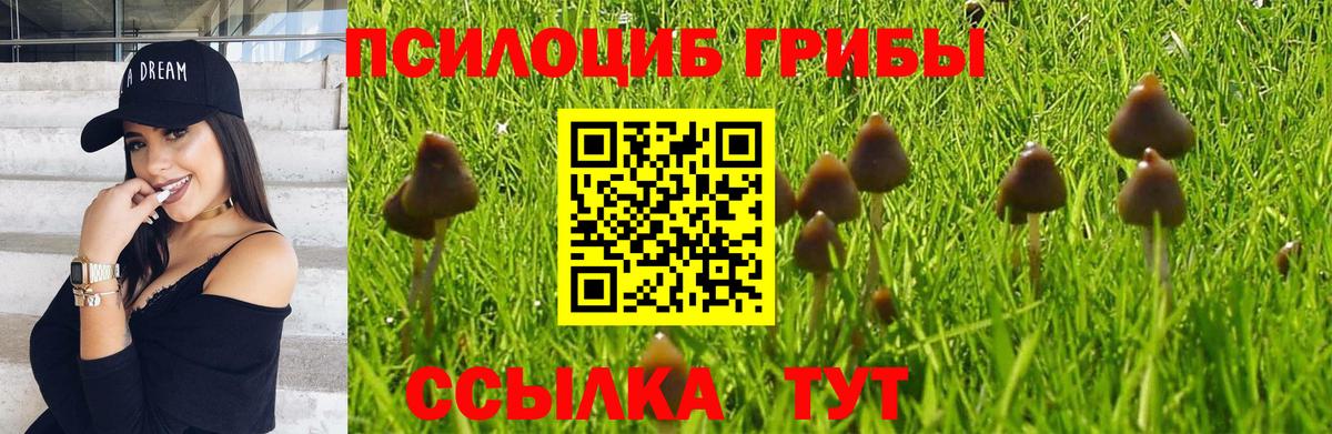 Якутск  Галлюциногенные грибы мухоморы  Галлюциногенные грибы Cubensis  Вход с VPN 